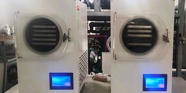 Home Freeze Dryer