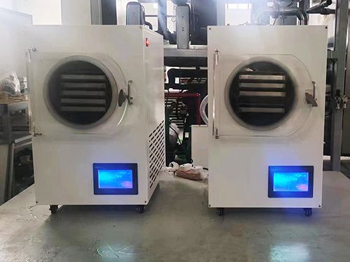 Home Vacuum Freeze Dryer / Lyophilizer
