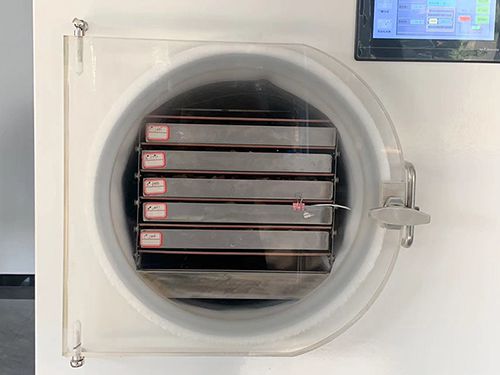 Home Vacuum Freeze Dryer / Lyophilizer