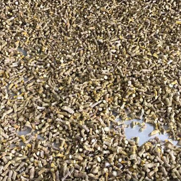 Commercial Freeze Dryer
