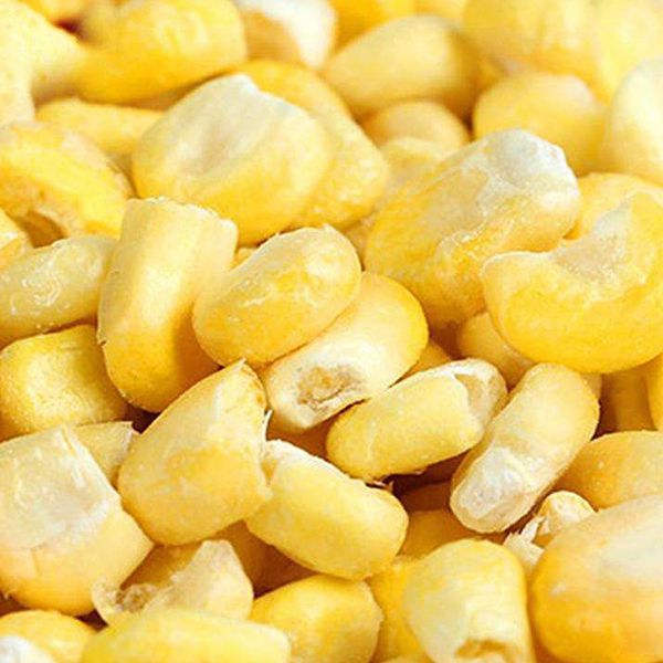 Commercial Freeze Dryer