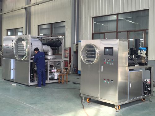 SFD-II-0.5/SFD-II-1.0 Pilot & Laboratory Freeze Dryer