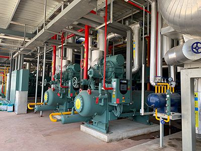 SFD-II-25/SFD-II-50 Production Freeze Dryer