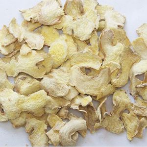 Commercial Freeze Dryer