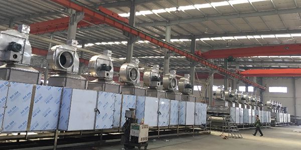 Single-Layer Belt Dryer
