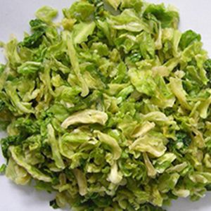 Commercial Freeze Dryer