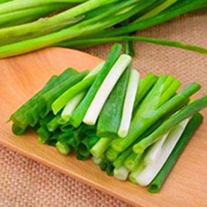Fresh Scallion