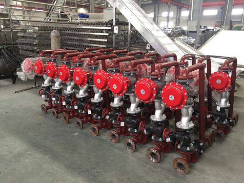Single-Layer Belt Dryer