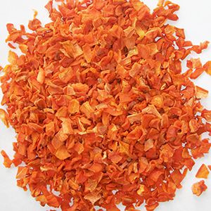 Commercial Freeze Dryer