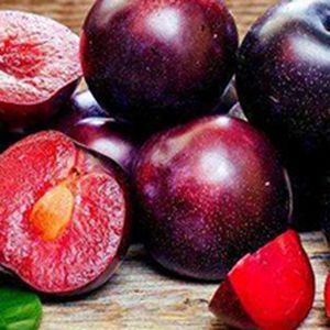 Fresh Plum