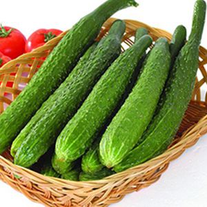 Fresh Cucumber