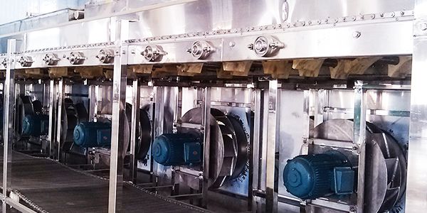 IQF Fluidized Bed Freezer