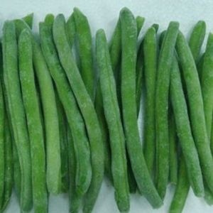 Commercial Freeze Dryer