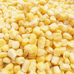 Commercial Freeze Dryer