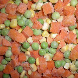 Commercial Freeze Dryer