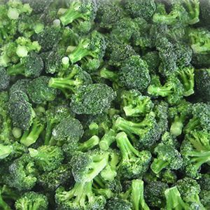 Commercial Freeze Dryer