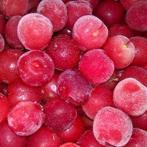 Commercial Freeze Dryer