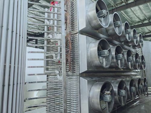 IQF Fluidized Bed Freezer