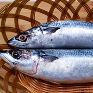 Fresh Fish