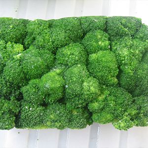 Commercial Freeze Dryer